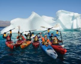 Antarctica Whale Watching Photo 4