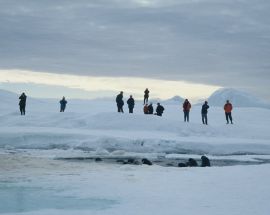 Russian Arctic & Franz Josef Land Photo 8