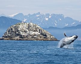 Treasures of the Inside Passage from Seattle Photo 2