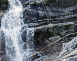 Treasures of the Inside Passage from Seattle Photo 14