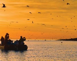 Baja California and the Sea of Cortez: Among the Great Whales Photo 8