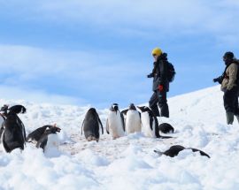 Beyond the Antarctic Circle - Wilkins Ice Shelf Photo 8