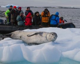 Beyond the Antarctic Circle - Wilkins Ice Shelf Photo 4