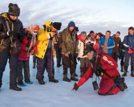 Beyond the Antarctic Circle - Wilkins Ice Shelf Photo 6