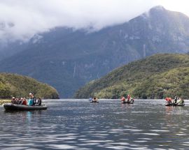 Unseen Fiordland & Snares Photo 3