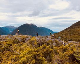 Unseen Fiordland & Snares Photo 1