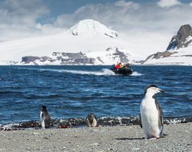 Antarctica Air-Cruise Photo 3