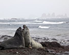 Antarctica Air-Cruise Photo 9