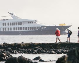 Beaches & Bays | Southern & Central Galapagos Photo 7