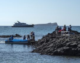 Beaches & Bays | Southern & Central Galapagos Photo 8