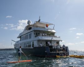 Volcanic Wonders | Northern & Western Galapagos Photo 9