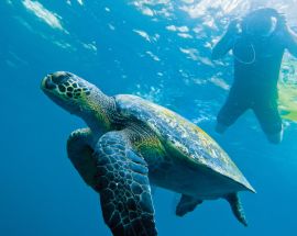 National Geographic Galapagos Islands Photo 4