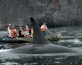 National Geographic Galapagos Islands Photo 7