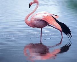 National Geographic Galapagos Islands Photo 8