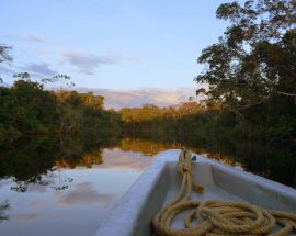 Ecuadorian Amazon 7-Night Cruise Photo 3