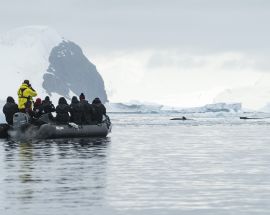 Explorer's Cruise; Antarctica & Extreme Weddell Sea Photo 3
