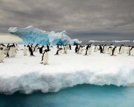 Ross Sea: In the Wake of Scott & Shackleton Photo 5