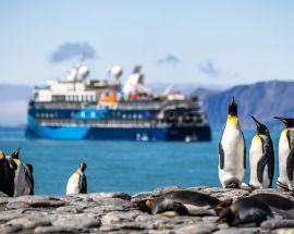 South Shetland Islands & Antarctic Peninsula Photo 19
