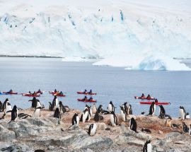 South Shetland Islands & Antarctic Peninsula Photo 6