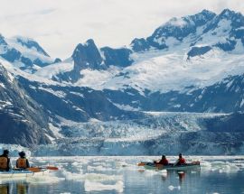 Exploring Alaska's Coastal Wilderness from Juneau Photo 5