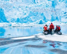 Exploring Alaska's Coastal Wilderness from Juneau Photo 8