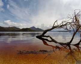 Coastal Wilds of Tasmania Photo 4
