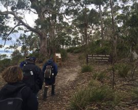 Circumnavigation of Tasmania Photo 5