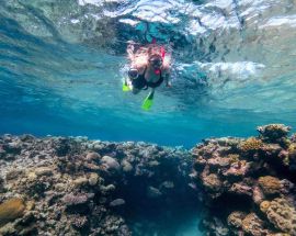Outerknown Adventures On The Great Barrier Reef Photo 7
