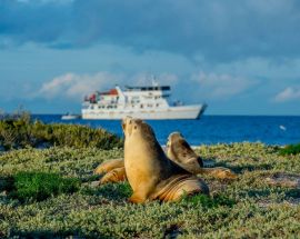 Abrolhos Islands Discovery Photo 1