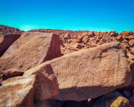 Ningaloo & The Bluewater Wonders of Australia's West Photo 5