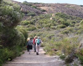 Whales & Trails of Western Australia Photo 4