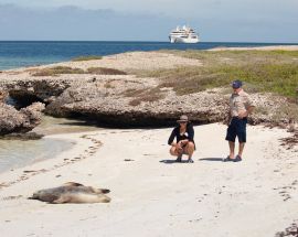 Abrolhos Islands & the Coral Coast Photo 2