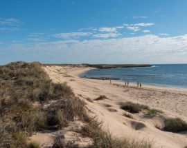 Abrolhos Islands & the Coral Coast Photo 3