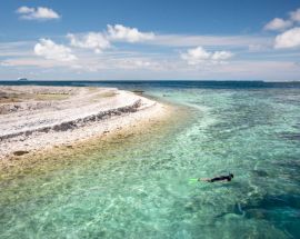 Abrolhos Islands & the Coral Coast Photo 5