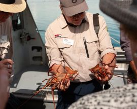 Abrolhos Islands & the Coral Coast Photo 6