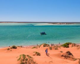 Abrolhos Islands & the Coral Coast Photo 7