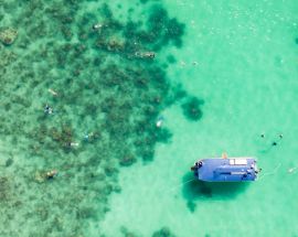 Abrolhos Islands & the Coral Coast Photo 8