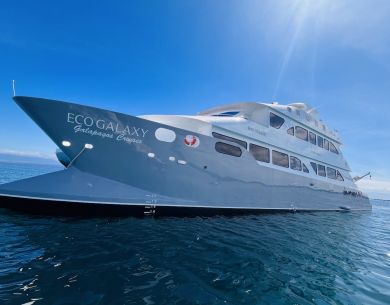 EcoGalaxy