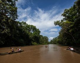 3-Night Peruvian Amazon & Pacaya Samiria National Reserve Photo 5