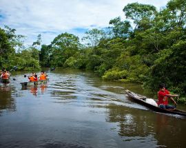 3-Night Peruvian Amazon & Pacaya Samiria National Reserve Photo 6