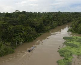 3-Night Peruvian Amazon & Pacaya Samiria National Reserve Photo 9