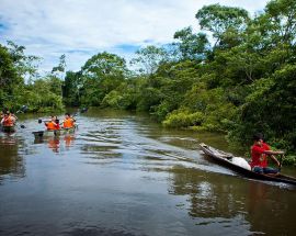 4-Night Peruvian Amazon Delfin III Photo 4