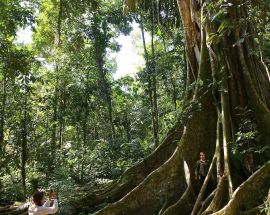 4-Night Peruvian Amazon Delfin III Photo 9