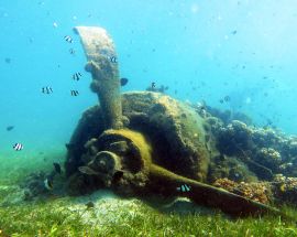 Melanesia Discovery Expedition Photo 2