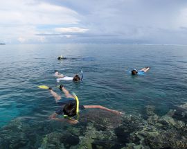 Melanesia Discovery Expedition Photo 4