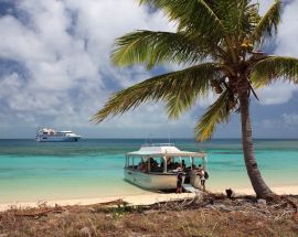 Torres Strait & Cape York Photo 5