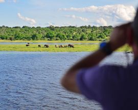 Chobe River Safari - 2 Nights Photo 3