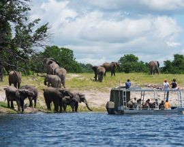 Chobe River Safari - 2 Nights Photo 4