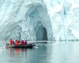 Realm of the Penguins Photo 1