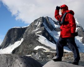 Realm of the Penguins Photo 4
